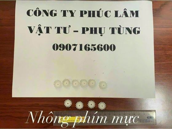 Nhông phím mực